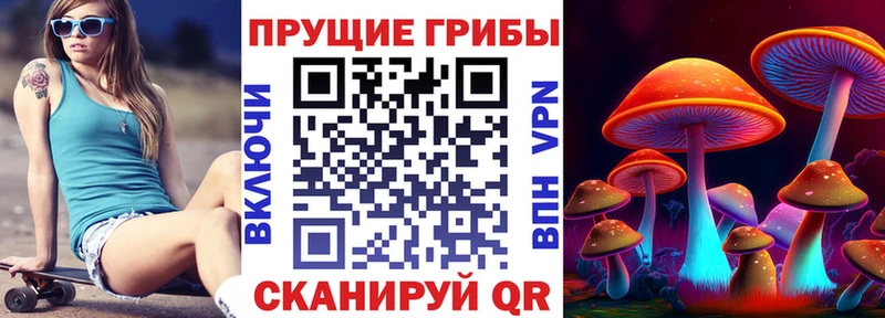 Псилоцибиновые грибы Psilocybine cubensis  где купить наркотик  Юхнов 